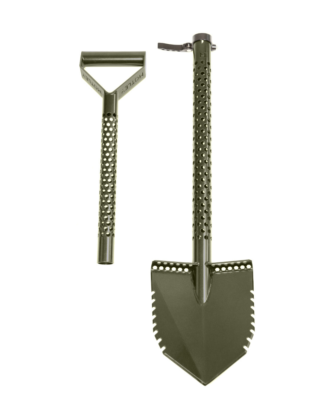 MOTLEY FOREST FOX SPADE