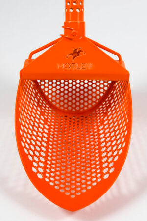 MOTLEY BEACH SCOOP