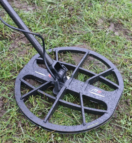 Detecting Innovations Manticore Lower Stem