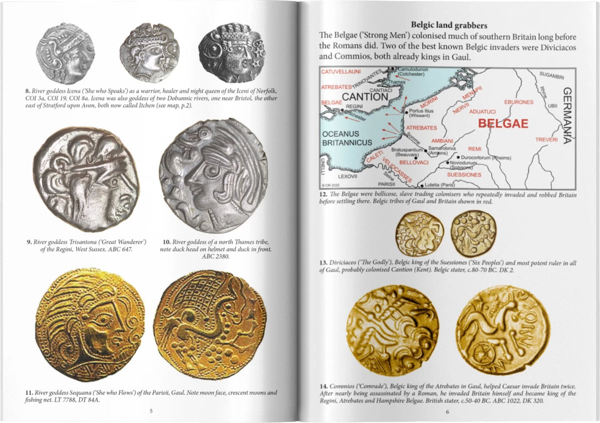Coins of the Dobunni - Peter Healy