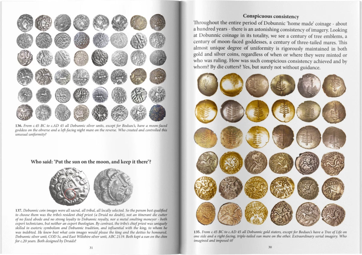 Coins of the Dobunni - Peter Healy