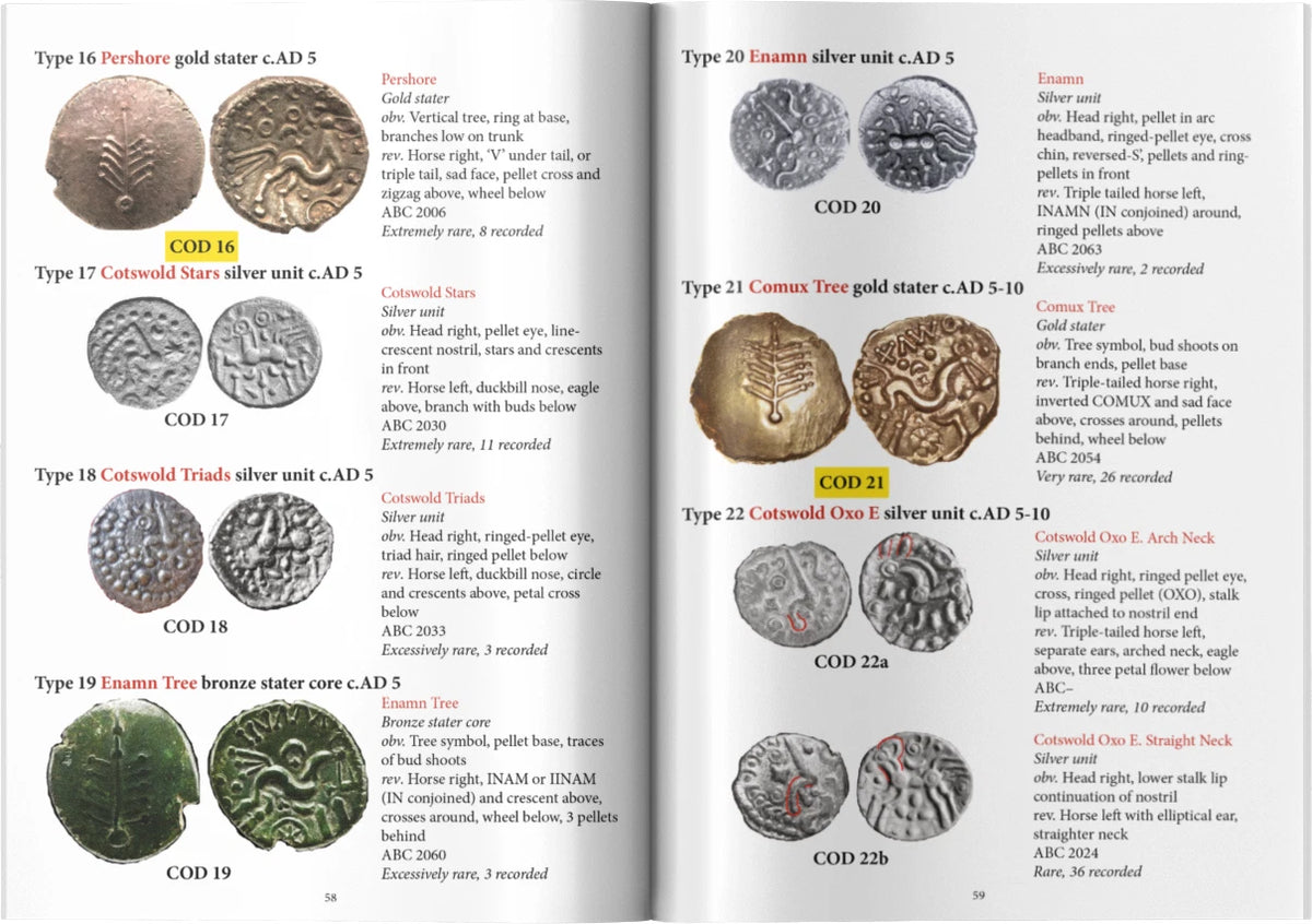 Coins of the Dobunni - Peter Healy